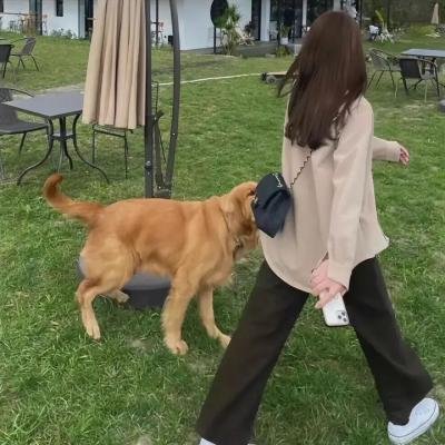 出关